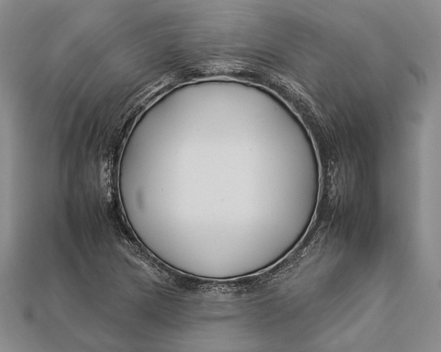 X0000112931217200909141326