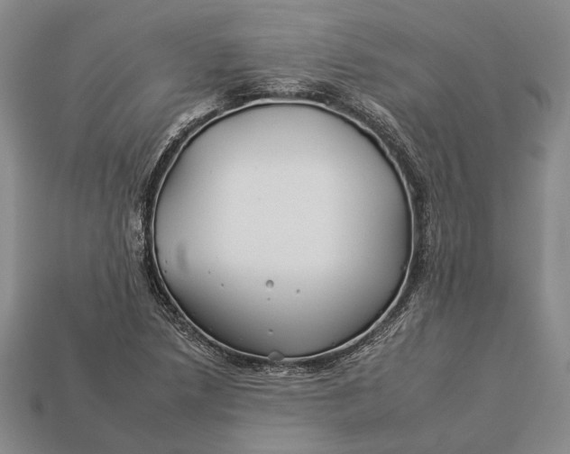 X0000112931218200909141326