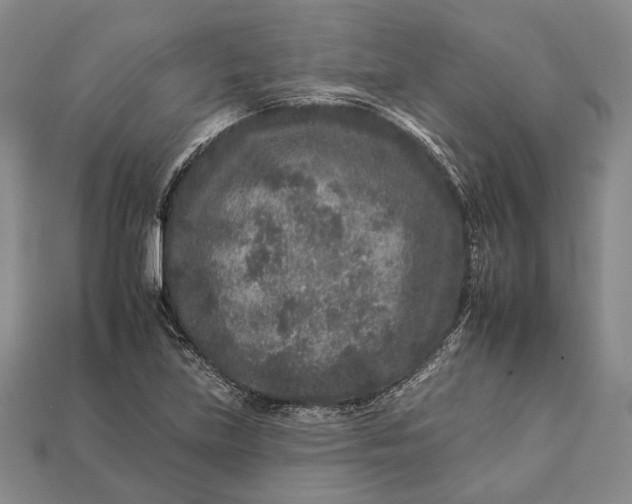 X0000112931219200909141326