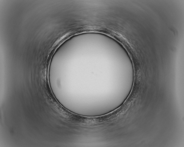 X0000112931220200909141326