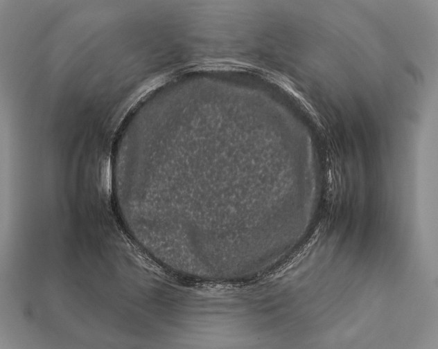 X0000112931221200909141326