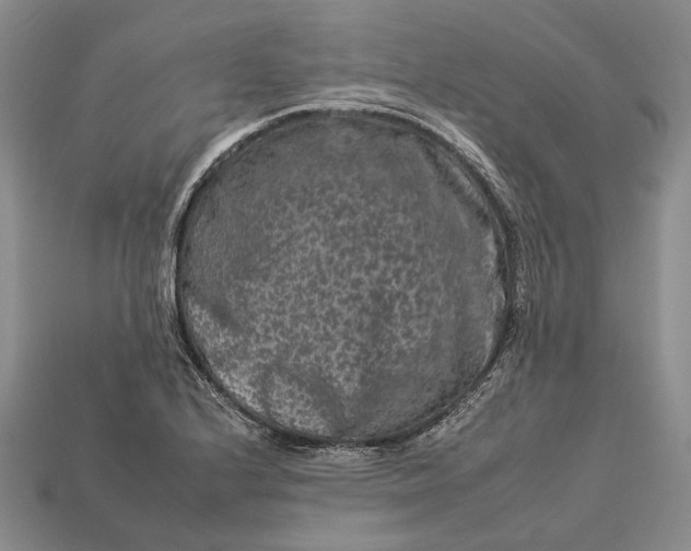 X0000112931224200909141326