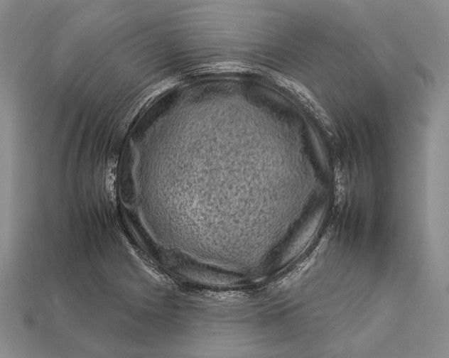 X0000112931225200909141326