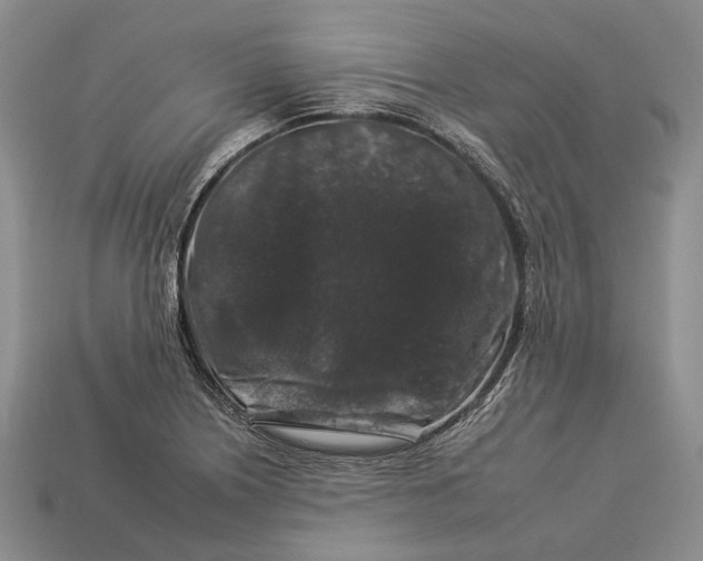 X0000112931226200909141327