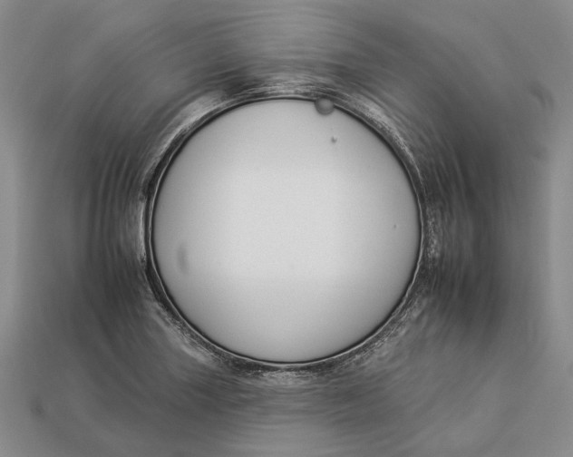 X0000112931227200909141327