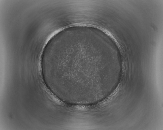 X0000112931230200909141327