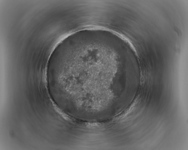 X0000112931231200909141327