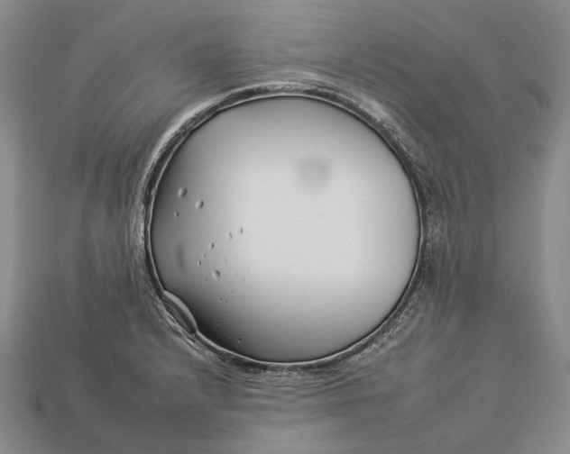 X0000112931232200909141327