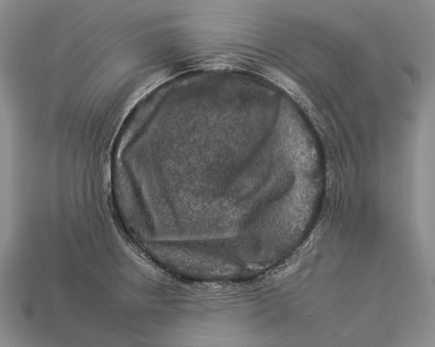 X0000112931234200909141327