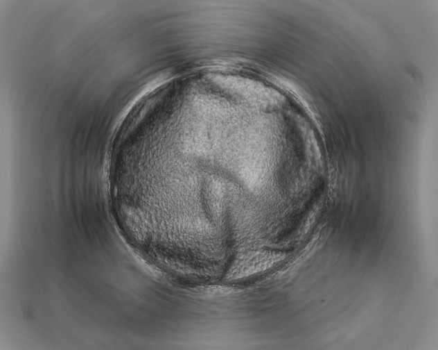 X0000112931235200909141327