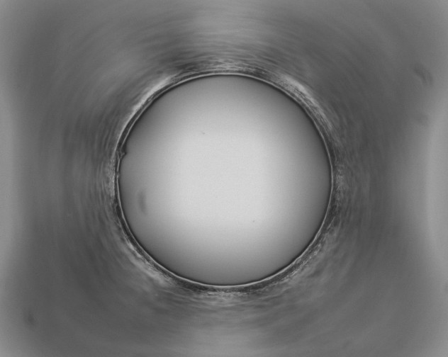 X0000112931236200909141327