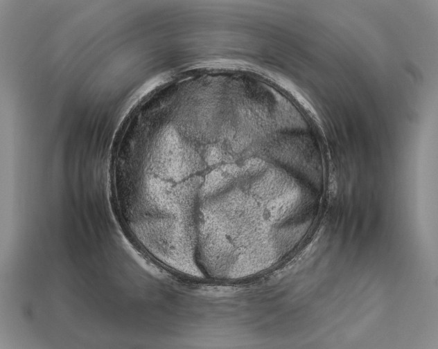 X0000112931237200909141327