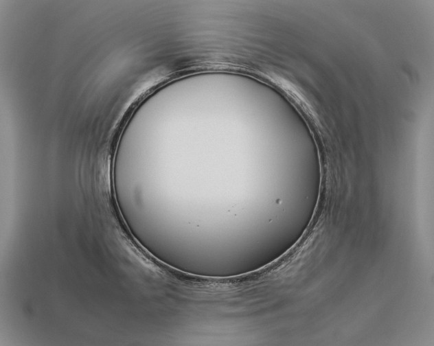 X0000112931238200909141327