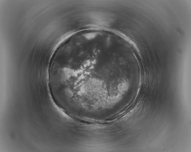 X0000112931239200909141327