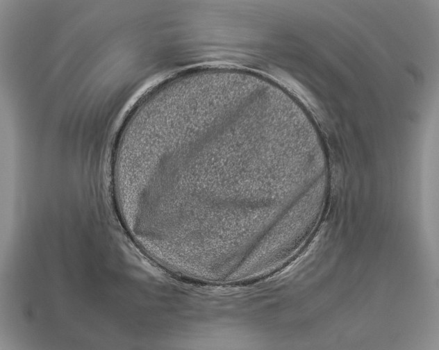 X0000112931240200909141327