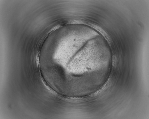 X0000112931241200909141327