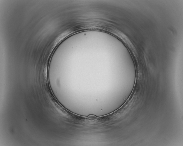 X0000112931242200909141327