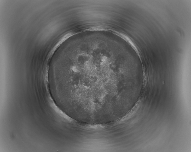 X0000112931243200909141327