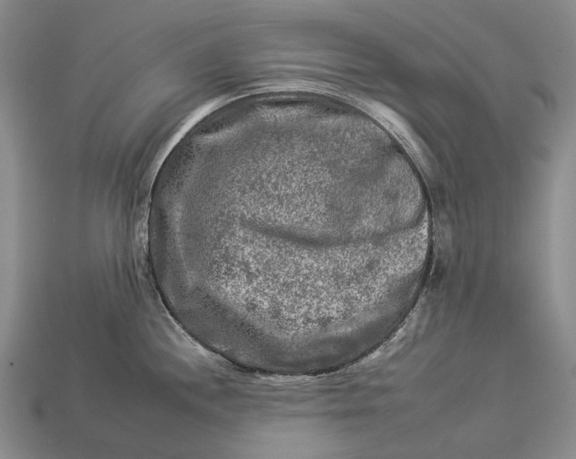 X0000112931244200909141327