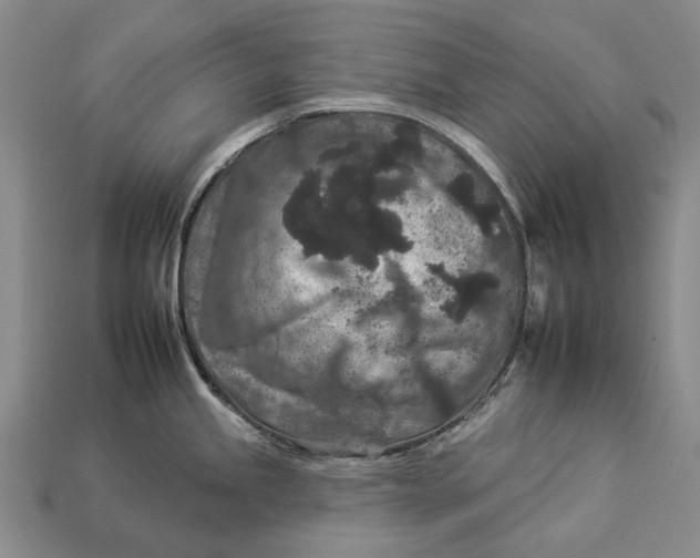 X0000112931245200909141327