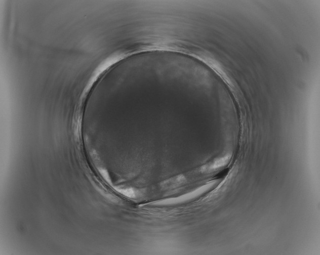 X0000112931246200909141327