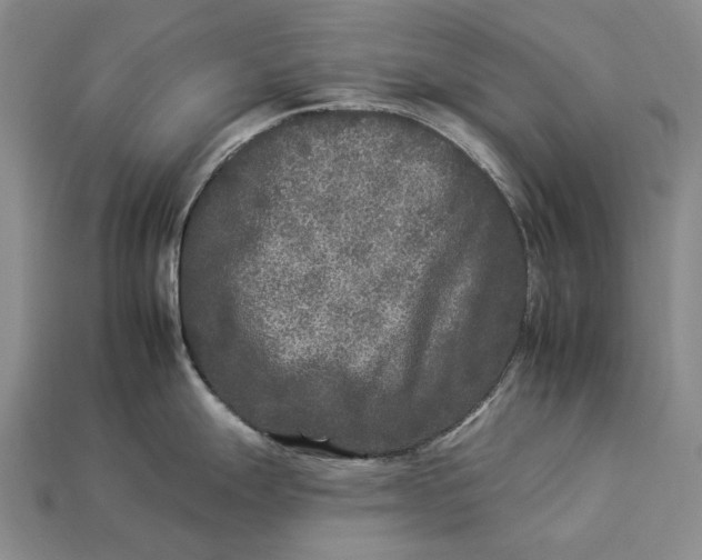 X0000112931247200909141327