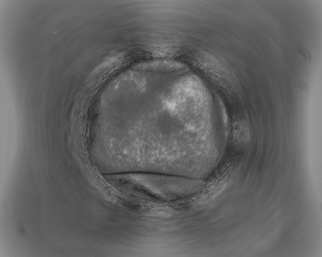 X0000112931249200909141326