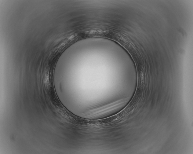 X0000112931250200909141326