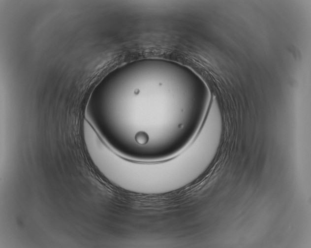 X0000112931252200909141326