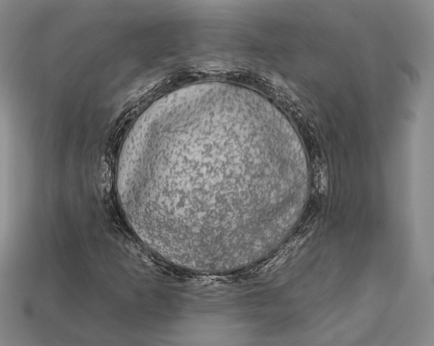 X0000112931253200909141326