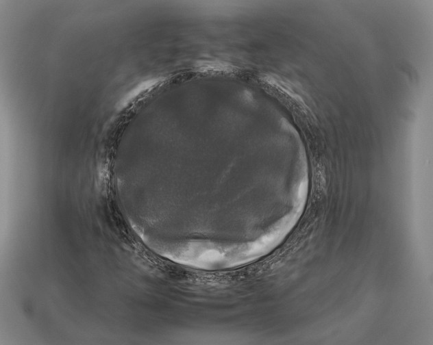 X0000112931254200909141326