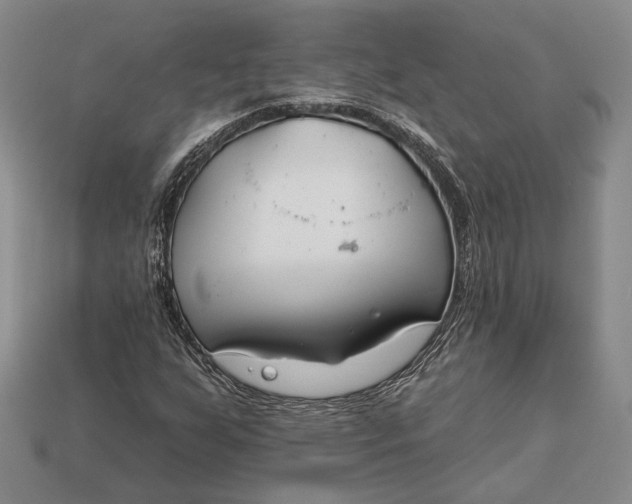 X0000112931255200909141326