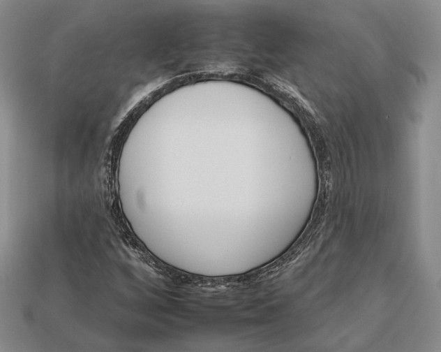 X0000112931256200909141326