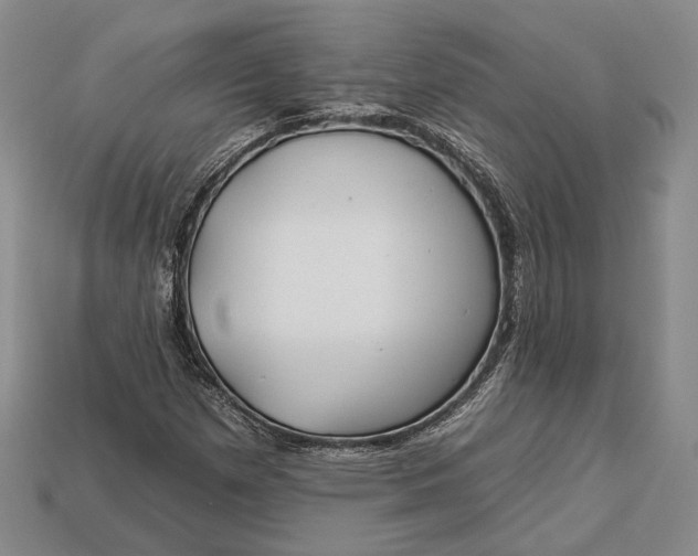 X0000112931257200909141326