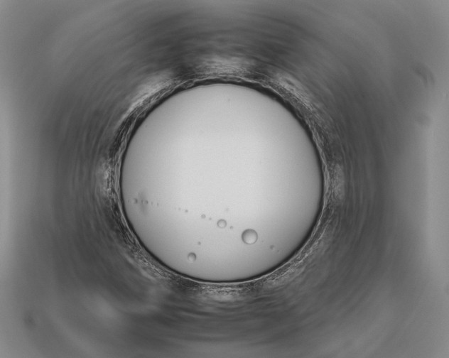 X0000112931258200909141326