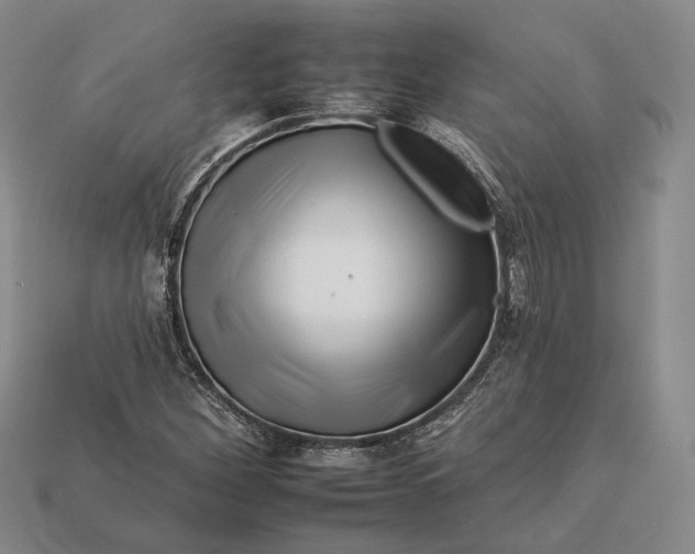 X0000112931260200909141326