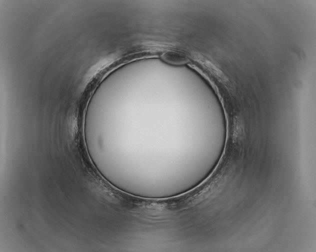 X0000112931261200909141326