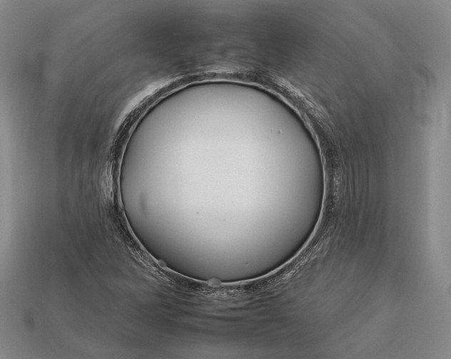 X0000112931262200909141326