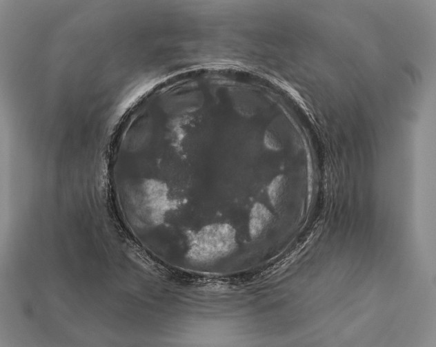 X0000112931263200909141326