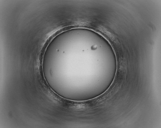 X0000112931264200909141326