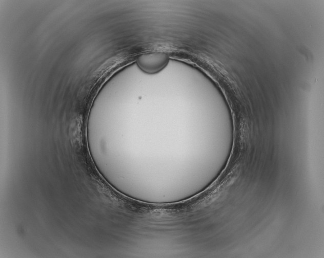 X0000112931265200909141326