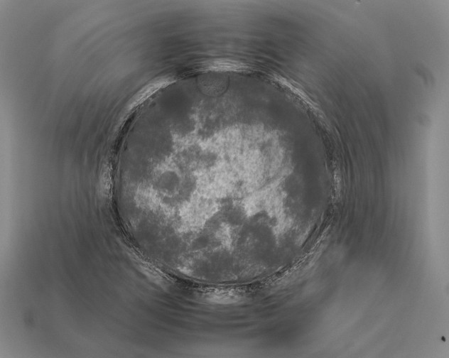 X0000112931266200909141326