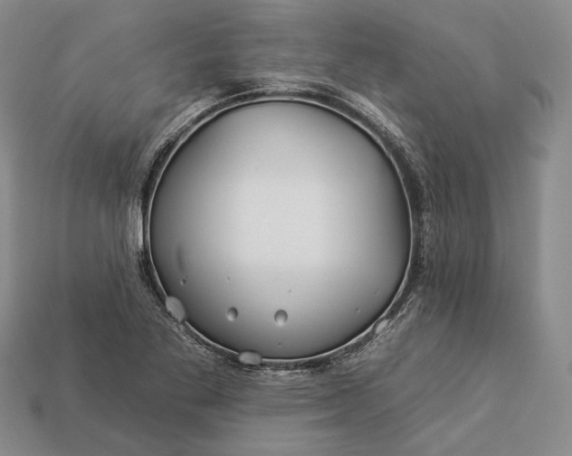 X0000112931269200909141326