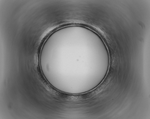 X0000112931271200909141326