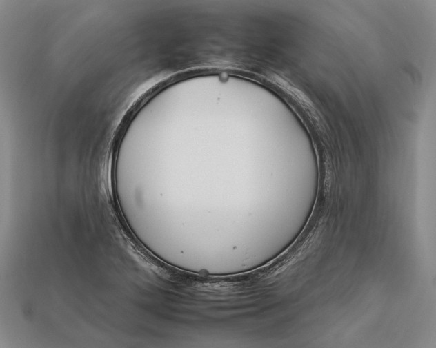 X0000112931272200909141326