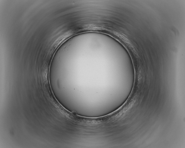 X0000112931273200909141326