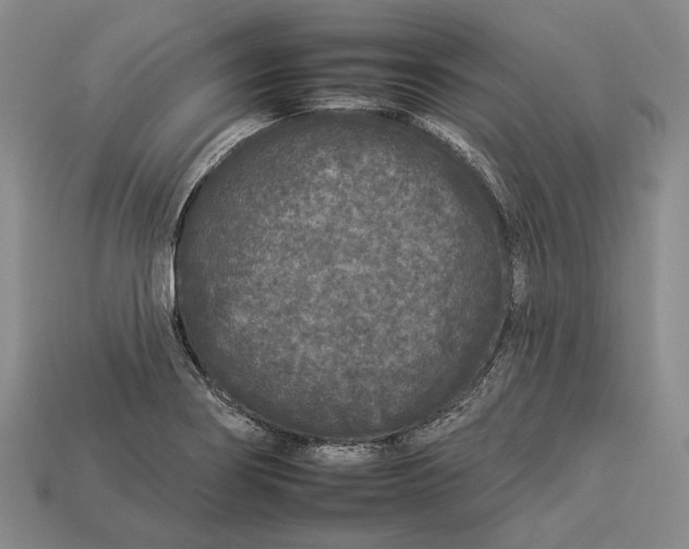 X0000112931274200909141326