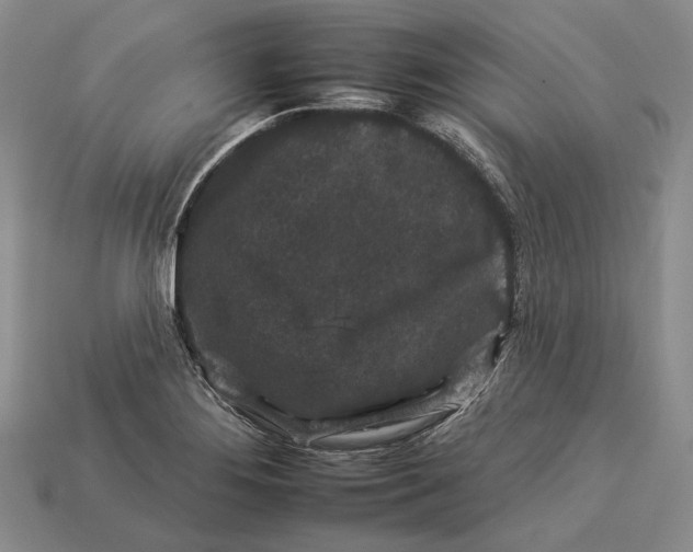 X0000112931276200909141326