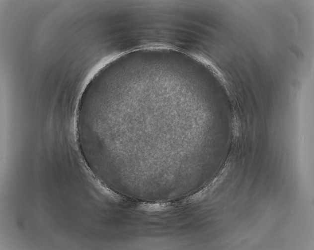 X0000112931278200909141326