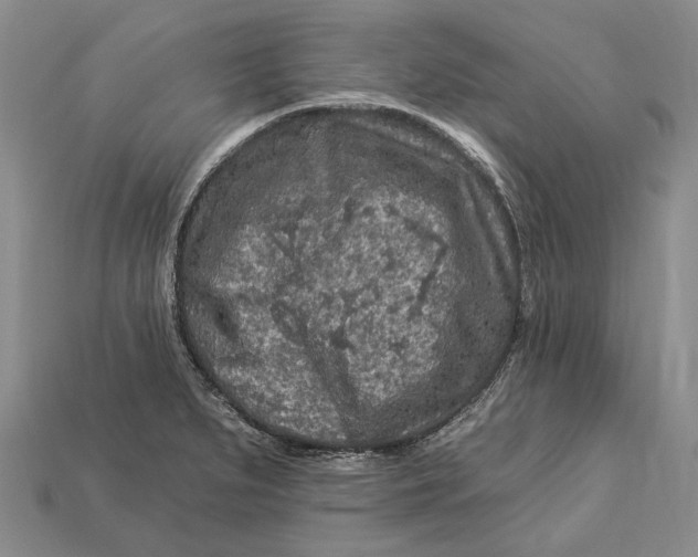 X0000112931279200909141326